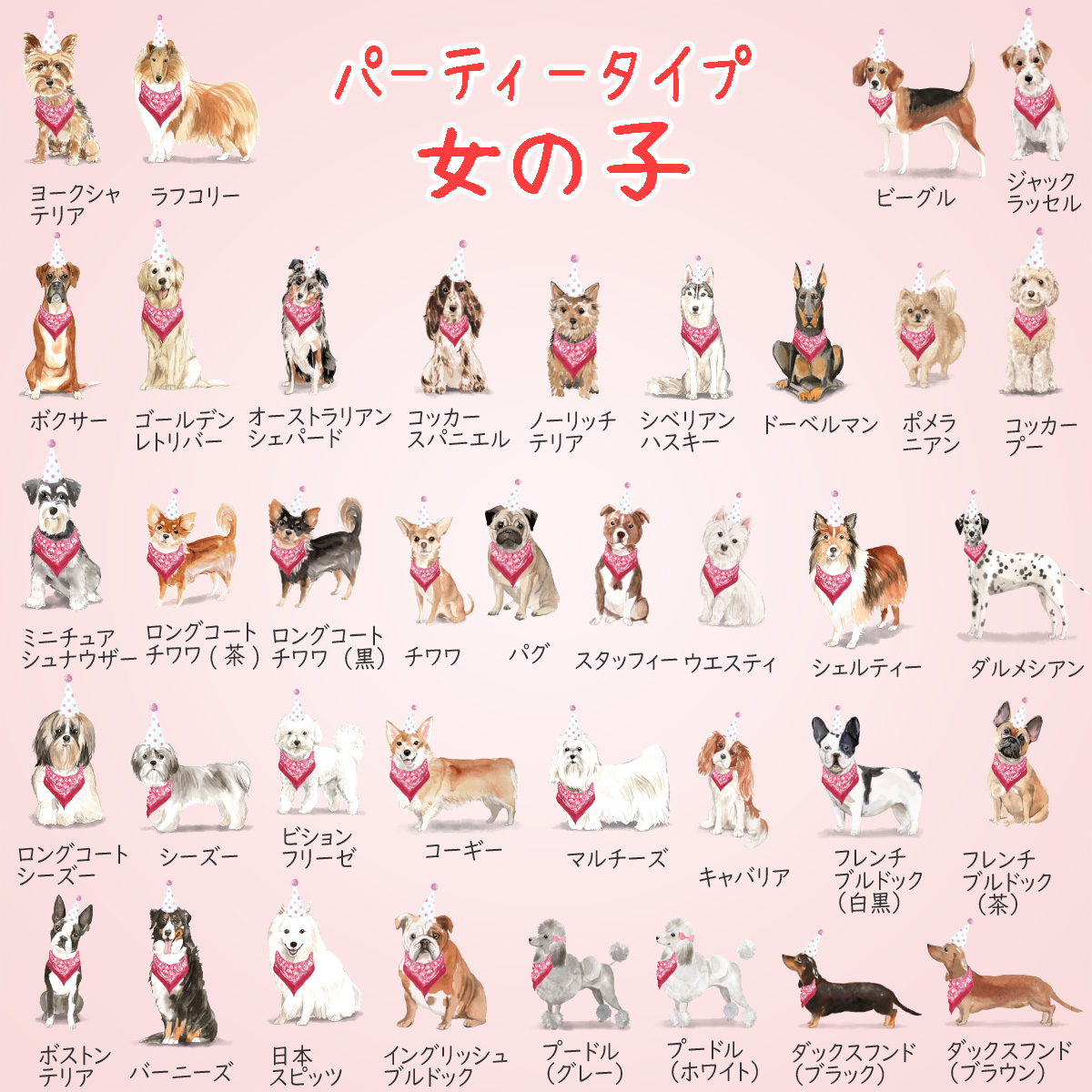 犬 パーティータイプ 女の子一覧