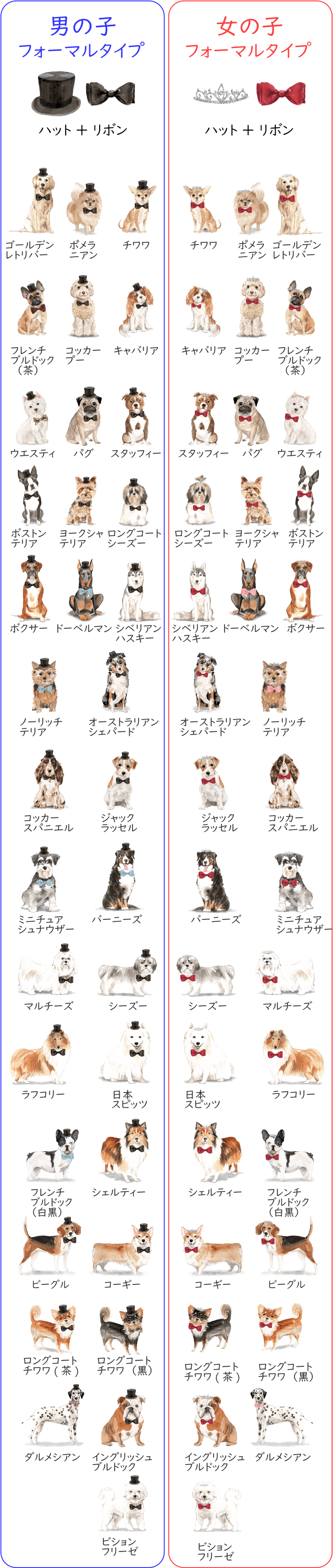 DOGのフォーマルタイプ一覧