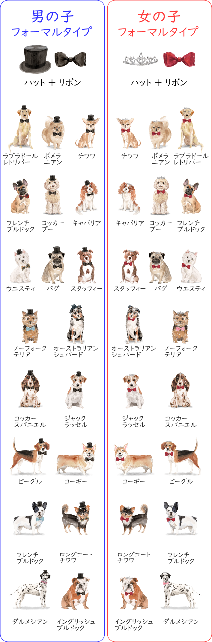 DOGのフォーマルタイプ一覧