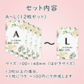 セット内容